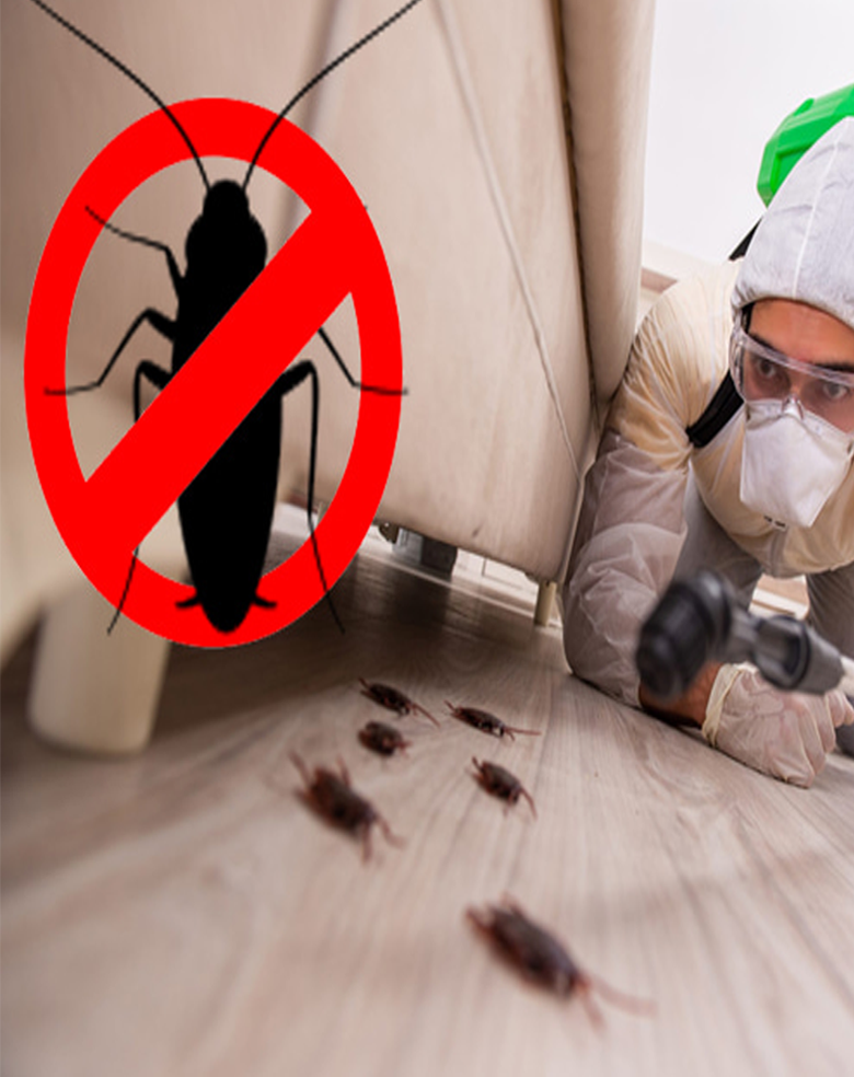 commercial pest control