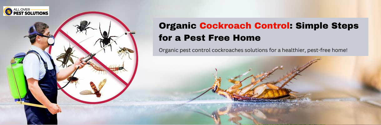 Pest Control in Melbourne for Cockroaches