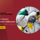 Pest Control Services Melbourne A Complete Guide for Homeowners Read More