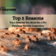 Top 5 Reasons Top 5 Reasons You Must Get a Pre Purchase Termite Inspection
