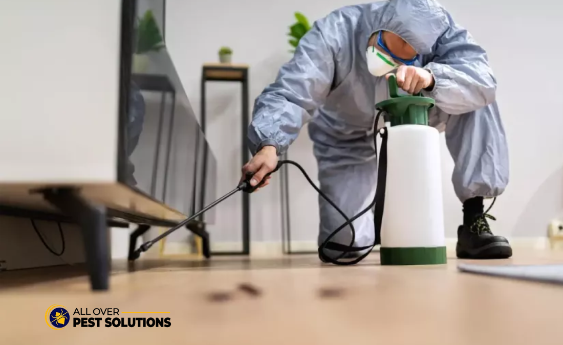 Book Pre Purchase Building and Pest Inspection Service in Melbourne