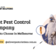 How to Choose the Best Pest Control Company in Melbourne