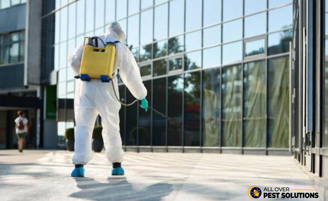 9 Signs Your Business Needs Commercial Pest Control Services Immediately