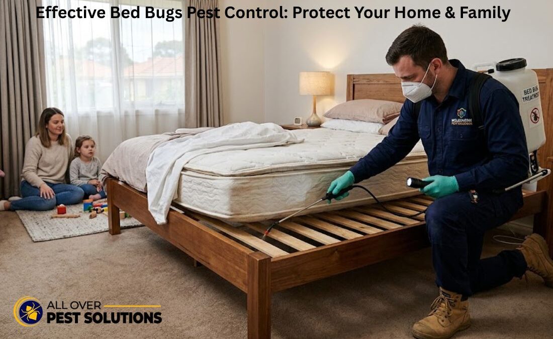 Effective Bed Bugs Pest Control: Protect Your Home & Family