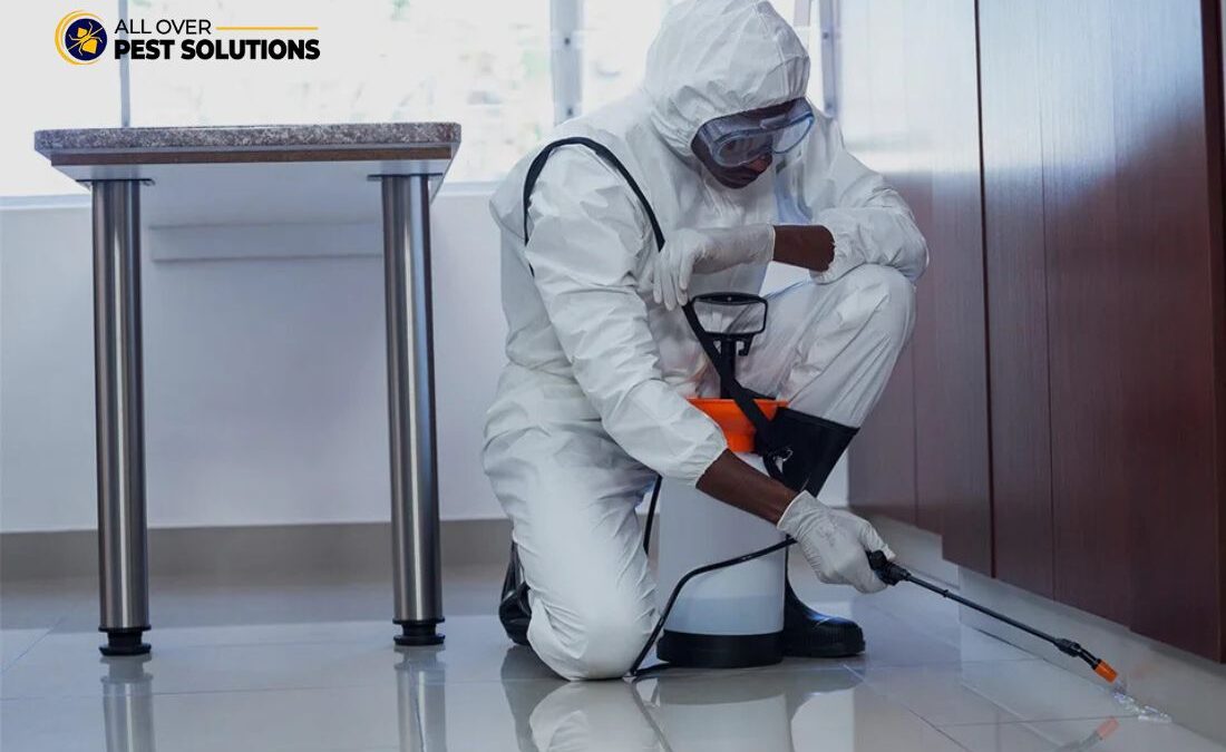 Termite Control Melbourne: Expert Structural Protection and Prevention