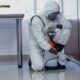 Termite Control Melbourne: Expert Structural Protection and Prevention