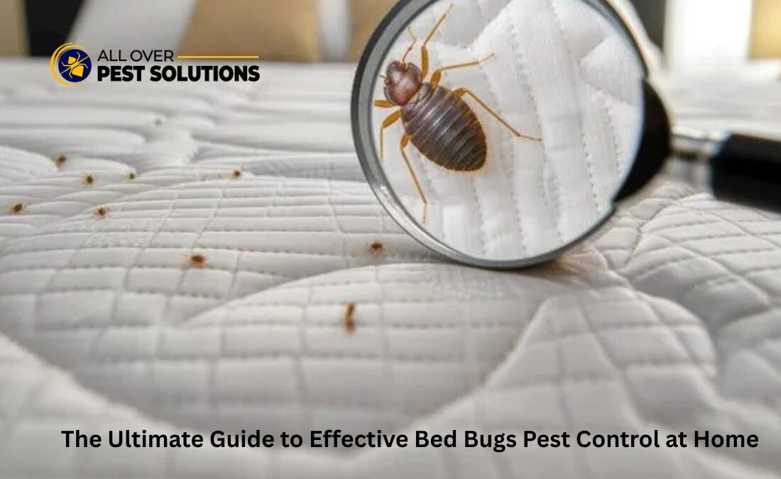 The Ultimate Guide to Effective Bed Bugs Pest Control at Home
