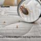 The Ultimate Guide to Effective Bed Bugs Pest Control at Home