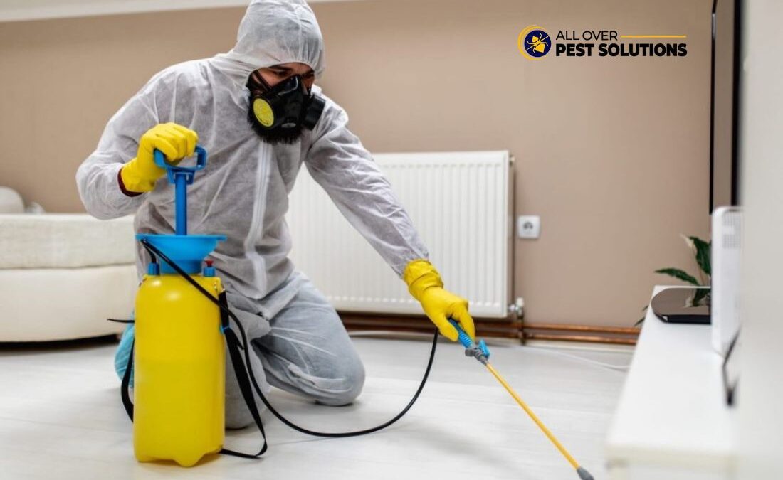 Termite Control Services Safeguard Your Roof Frame