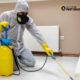 Termite Control Services Safeguard Your Roof Frame