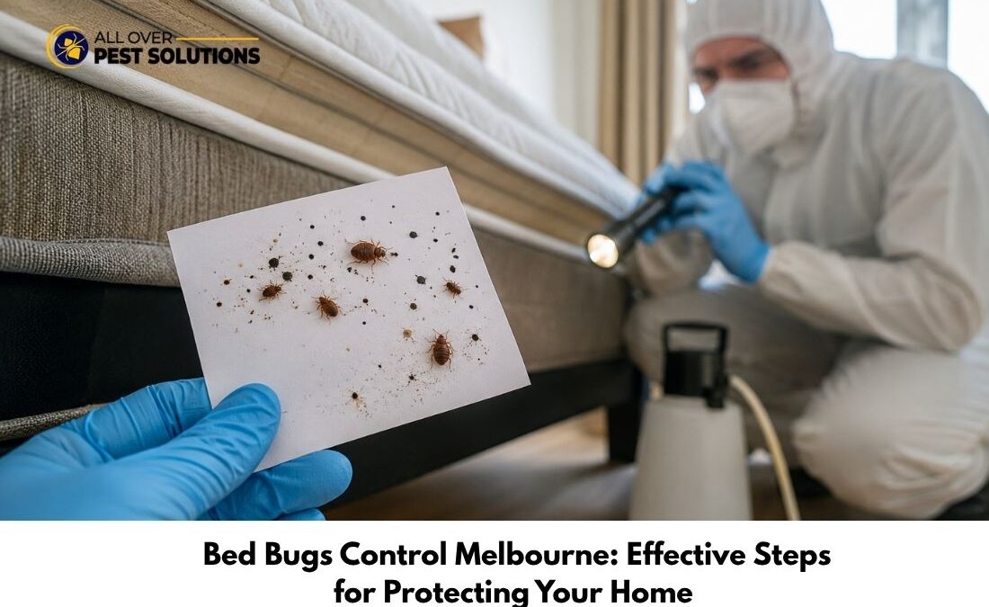 Bed Bugs Control Melbourne: Effective Steps for Protecting Your Home