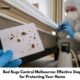 Bed Bugs Control Melbourne: Effective Steps for Protecting Your Home