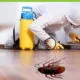 Cockroach Control