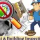 pre-purchase building inspection in Melbourne