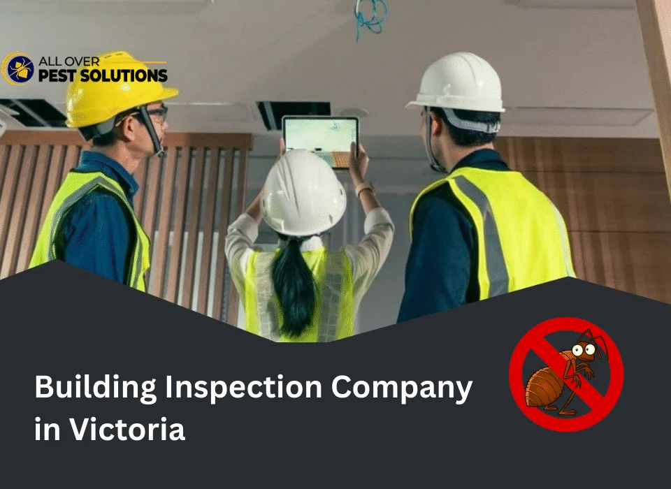 Building Inspection Company in Victoria