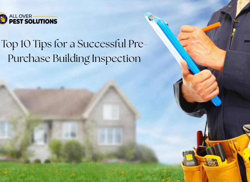 Pre-Purchase Building Inspection