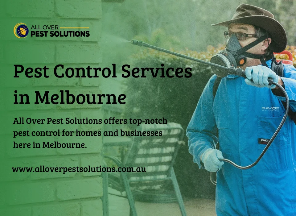 Pest Control Services in Melbourne | All Over Pest Solutions