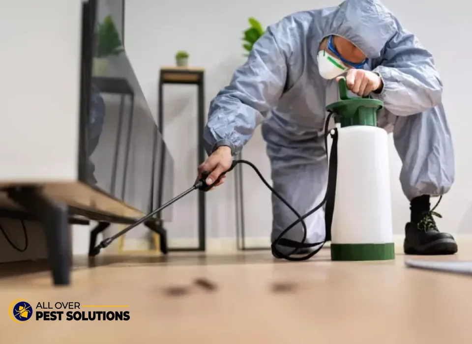 Book Pre Purchase Building and Pest Inspection Service in Melbourne