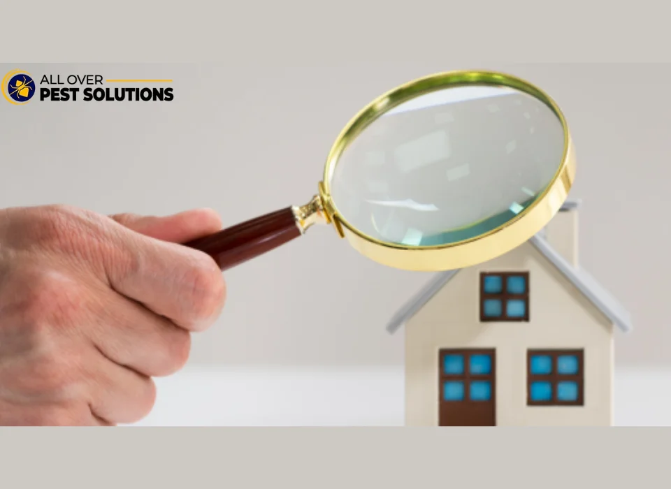 What is the Biggest Red Flag in a Home Inspection?