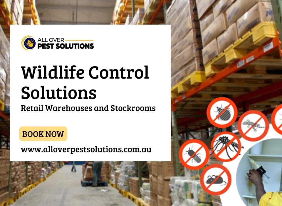 Wildlife Control Solutions for Retail Warehouses and Stockrooms