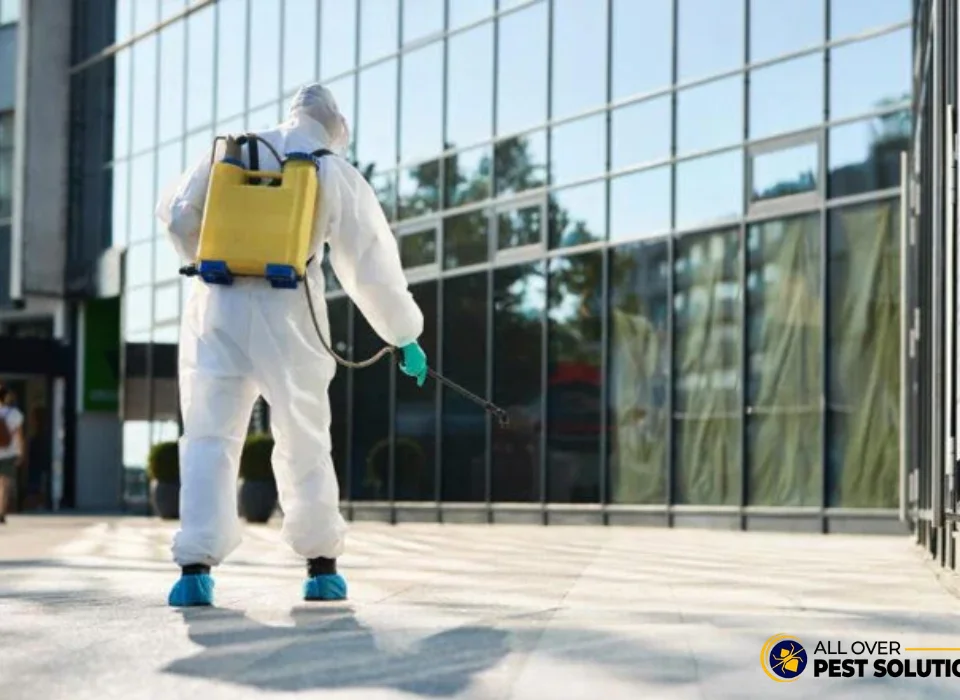 9 Signs Your Business Needs Commercial Pest Control Services Immediately