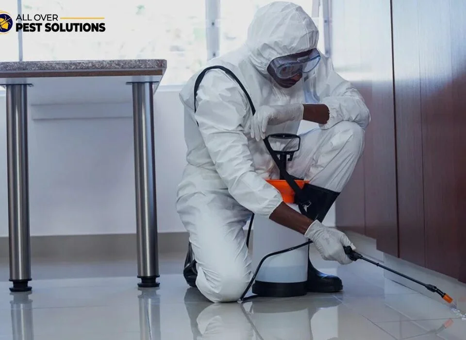Termite Control Melbourne: Expert Structural Protection and Prevention
