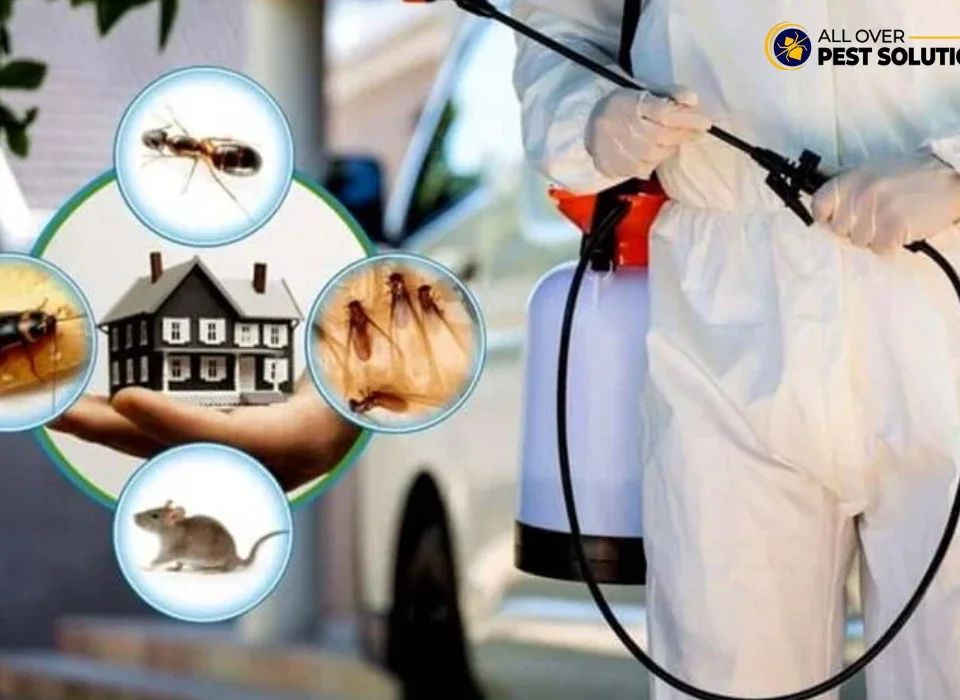 Top Pest Control Solutions That Actually Work in 2026