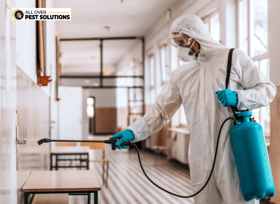 7 Signs You Need Professional Pest Control Services in Melbourne