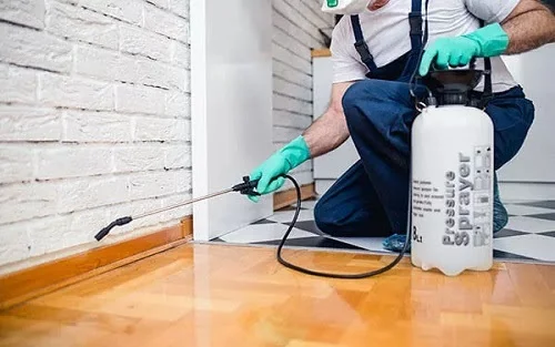 termite pest control